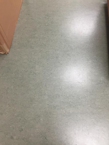 Floor Care at Bartlett Research Lab Charlotte, NC