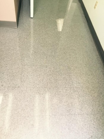 Floor Cleaning at Sunnybrook Kennel in Concord, NC