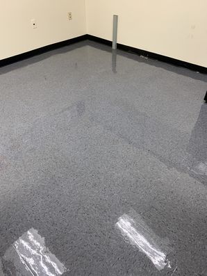Before & After Floor Care at Charlotte, NC Enterprise Auto Rental (2)