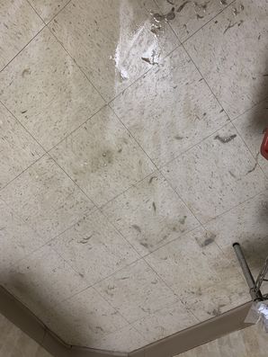 Before and After Floor Care Carley Family Care in Kings Mountain, NC (2)