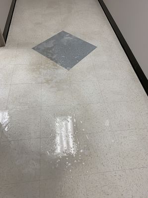 Before and after floor care Palmetto Vet Medicine and Surgery in Rockhill, SC (2)
