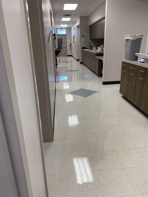 Before and after floor care Palmetto Vet Medicine and Surgery in Rockhill, SC (3)