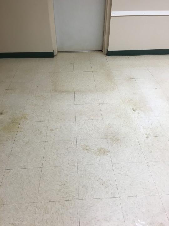 Before Floor Cleaning Charlotte NC
