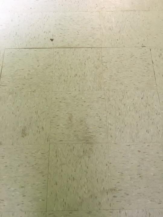 Before Floor Cleaning Fort Mill SC