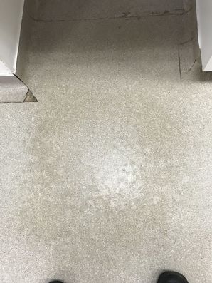 Before & After Floor Care in Mooresville, NC at Lakewood Animal Hospital (1)