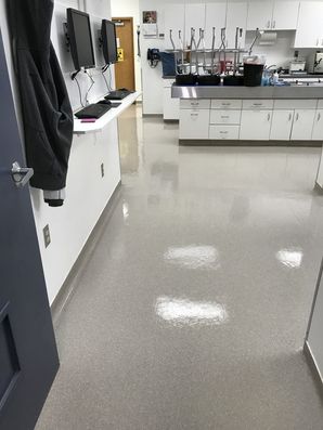 Before & After Floor Care in Mooresville, NC at Lakewood Animal Hospital (2)