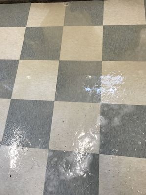 Before & After Floor Cleaning at Four Paws Boarding & Grooming in Clover, SC (1)