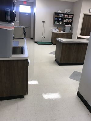 Before & After Floor Care at Palmetto Animal Veterinary and Surgery in Rockhill, Sc (2)