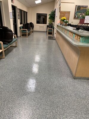 Before and after floor cleaning Gastonia Animal Hospital in Gastonia NC (4)