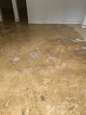 Before and after floor cleaning in Charlotte NC (1)