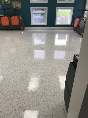 Before & after floor care Stand For Animals Clinic in Pineville, NC (4)
