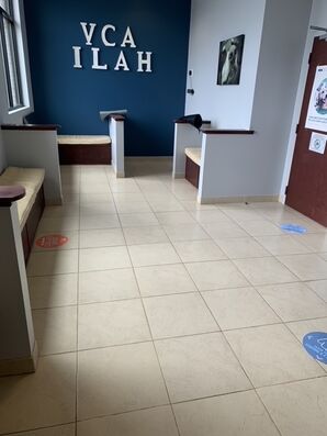 Before and After Floor Cleaning Indian land Animal Hospital in Fort Mill, SC (2)