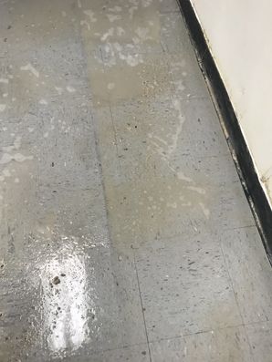 Before and After Floor Care Little Caesar Pizza in Charlotte, NC (3)
