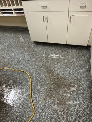 Floor Cleaning Services (Wilkinson Animal Clinic) in Gastonia, NC (1)