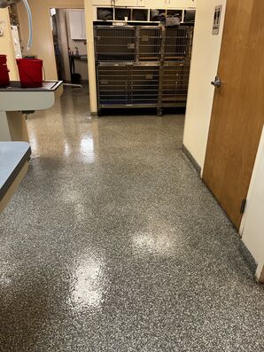 Floor Cleaning Services (Wilkinson Animal Clinic) in Gastonia, NC (2)
