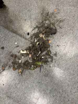 Commercial Floor Cleaning