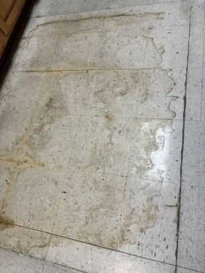 Floor Stripping