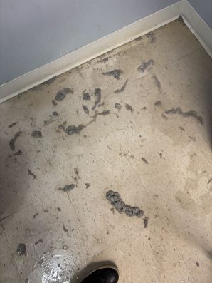Before & After Floor Cleaning Charlotte Engineering in Charlotte, NC (2)